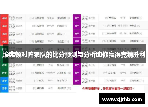 埃弗顿对阵狼队的比分预测与分析助你赢得竞猜胜利